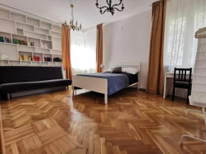 Cozy spacious apartment with balcony Kraków